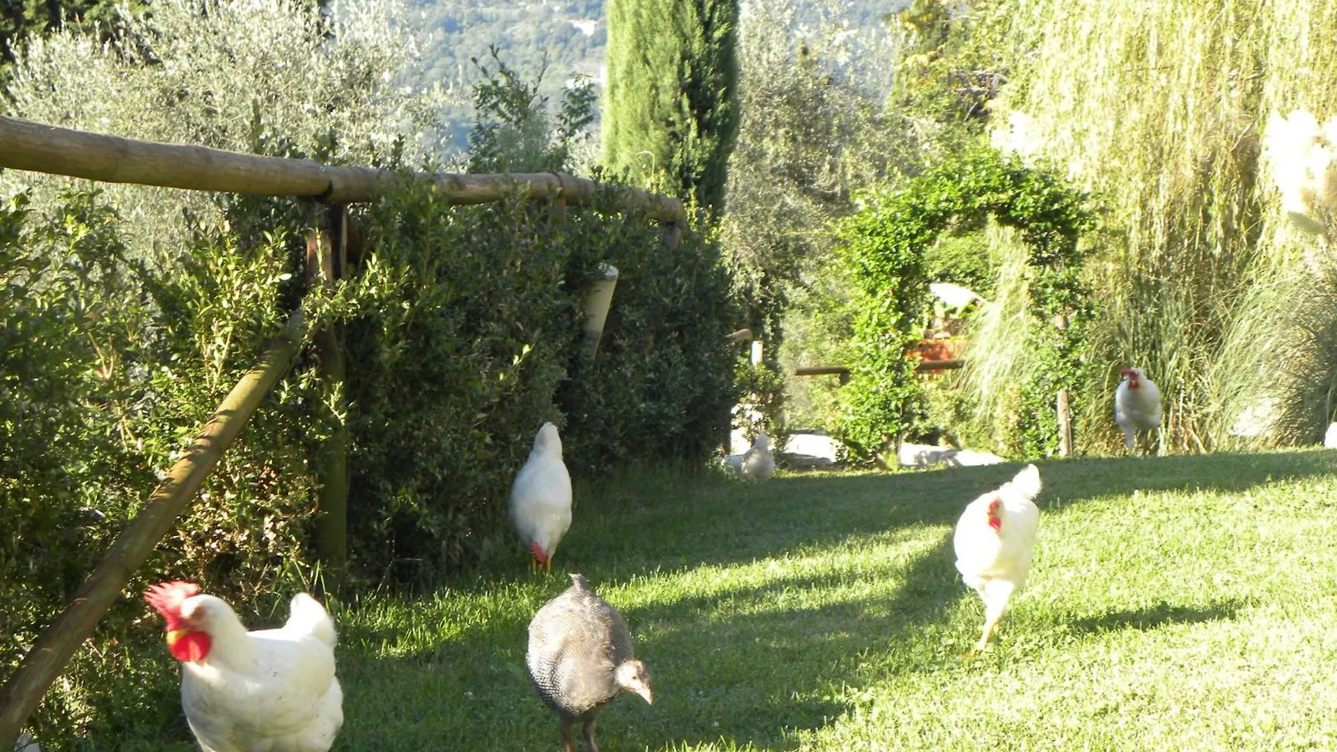 Villa Silvia Appartaments Rignano sullʼArno